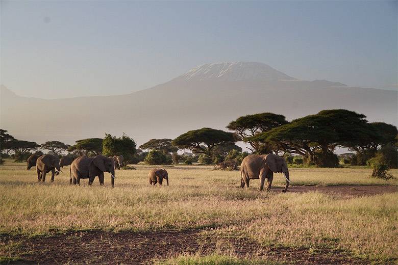 Exotic Tanzania: 18 Fascinating Facts