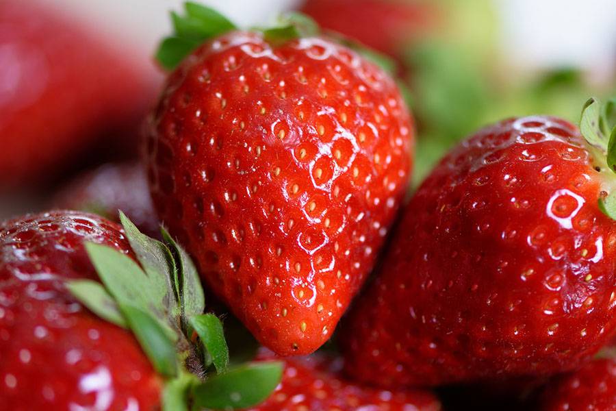 Berry of Love: 10 Interesting Facts About Strawberries