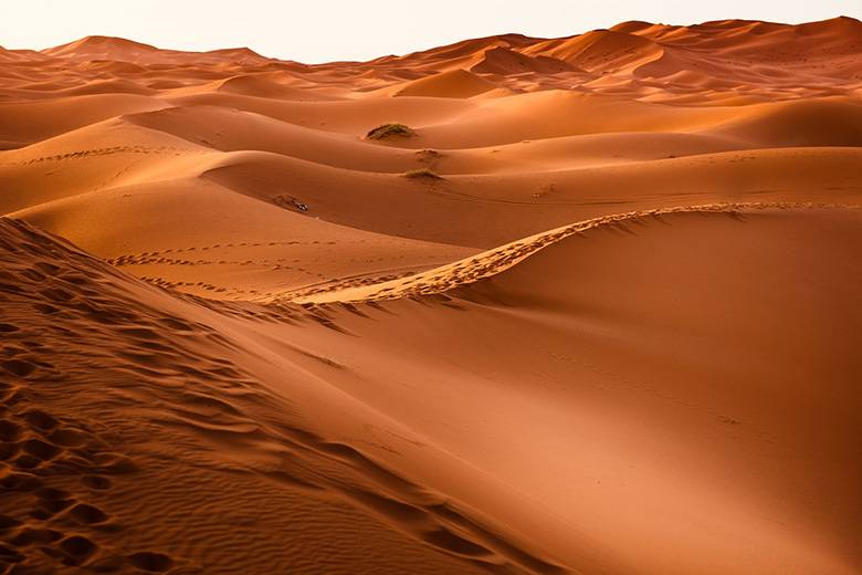 Relentless Sahara: 24 intriguing facts about the world's largest desert