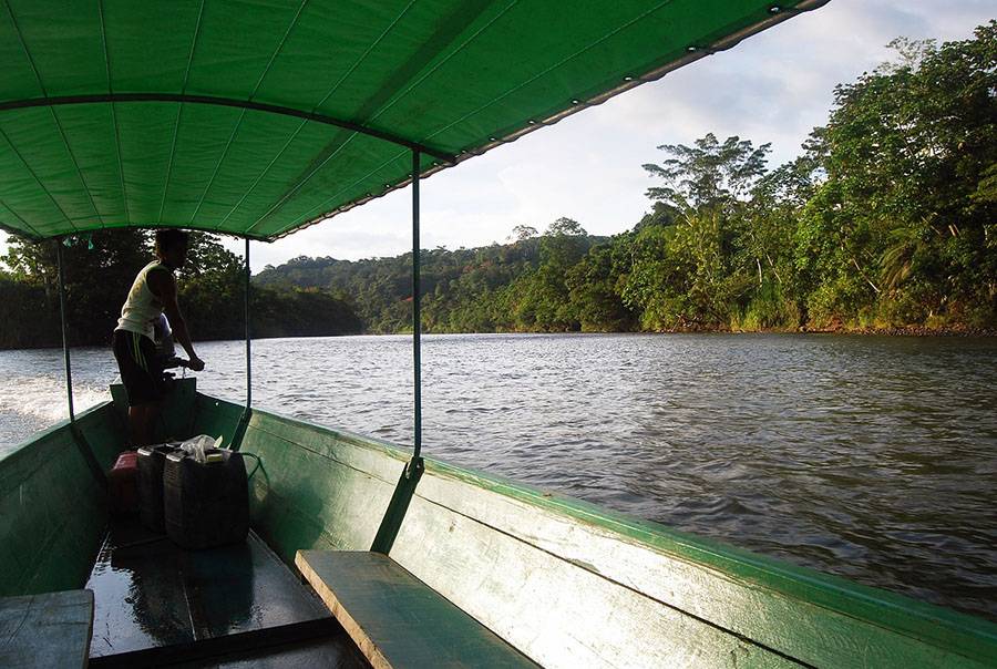 The Amazon: 8 Interesting Facts about the Legendary River